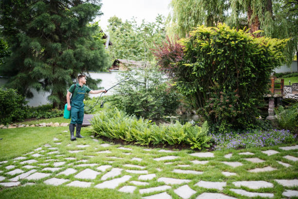 Best Best Pest Control Companies  in Spring Valley Village, TX