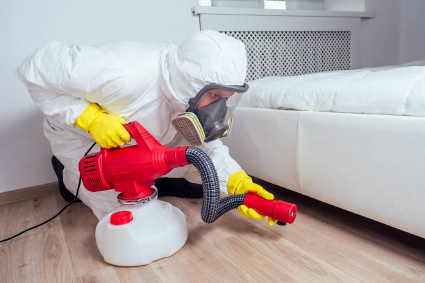 Best Pest Removal Services  in Spring Valley Village, TX