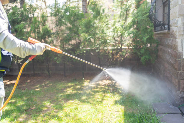 Best Commercial Pest Control Services  in Spring Valley Village, TX