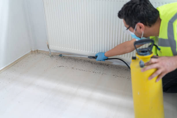 Best Bed Bug Extermination  in Spring Valley Village, TX